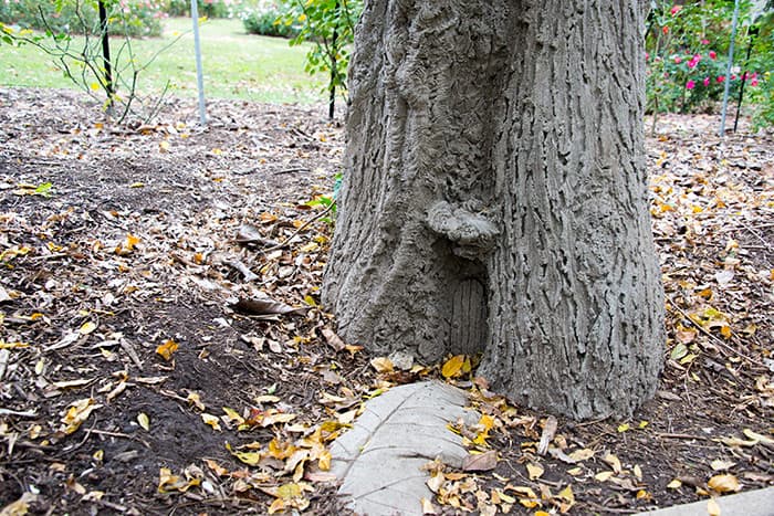 Fairy door