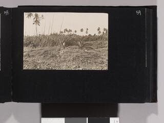 Go to image 61.