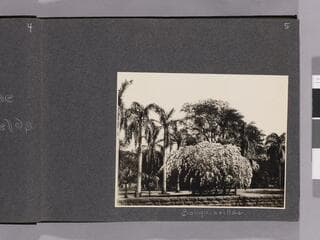 Go to image 7.