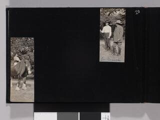 Go to image 22.