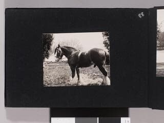 Go to image 90.