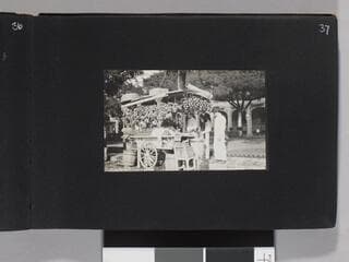 Go to image 39.
