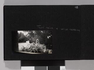 Go to image 80.