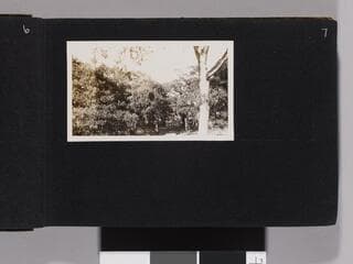 Go to image 9.