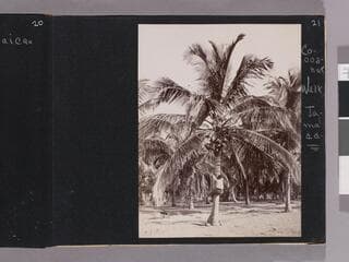 Go to image 23.