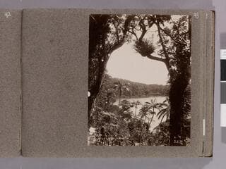 Go to image 45.