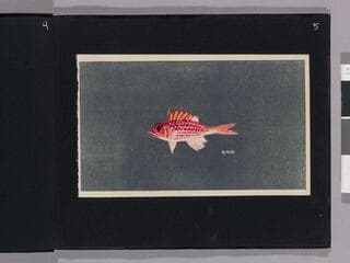 Go to image 7.