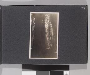Go to image 79.