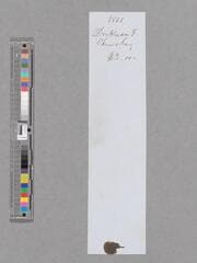 Go to image 6.