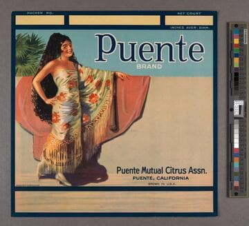 Puente Brand