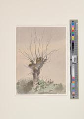 Go to image 2.
