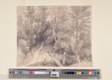 Early Tree Study