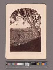 Go to image 1.