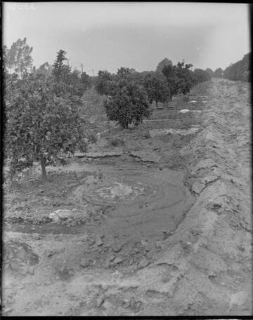 Agriculture