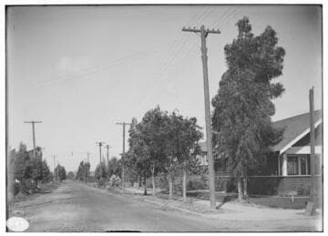 Distribution Lines