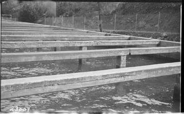 Kern River No. 3