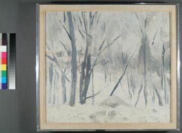 Winter Sheldrake