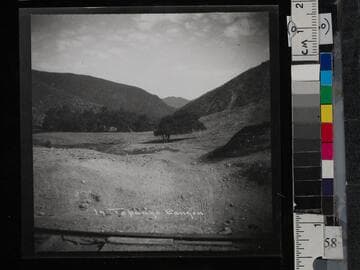 In Topanga Canyon