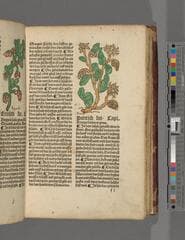 Go to image 85.