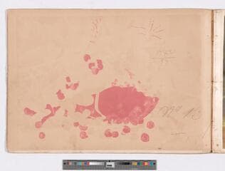 Go to image 23.