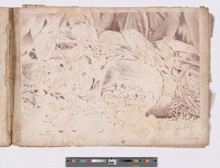 Go to image 40.