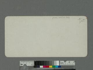 Go to image 2.