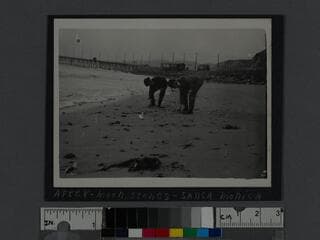 Go to image 1.
