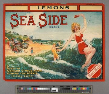 Sea side brand