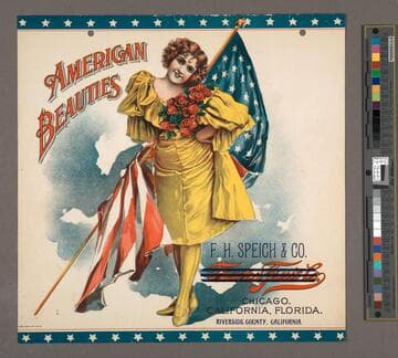 American beauties