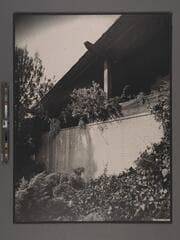 Go to image 15.