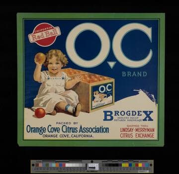 OC Brand