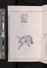 Go to image 263.