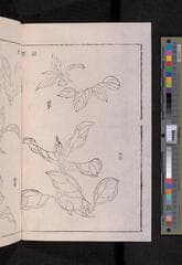 Go to image 238.