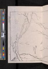 Go to image 245.