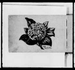 Go to image 400.