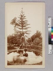 Go to image 1.