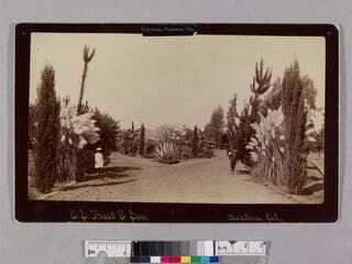 Go to image 1.