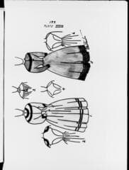 Go to image 204.