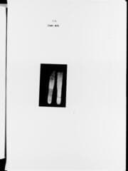 Go to image 237.