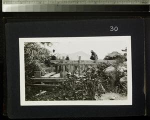 Go to image 32.