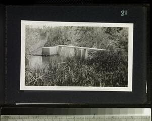 Go to image 83.
