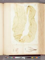 Go to image 50.