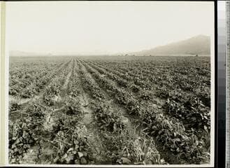 Go to image 114.