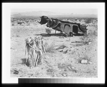 Mojave Desert