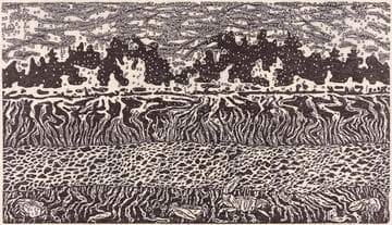 Mirage, mud and river, Colorado Delta