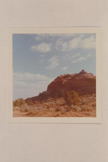 Don Martin, Oliver Johnson and Lex Lindsay on Cactus Rock