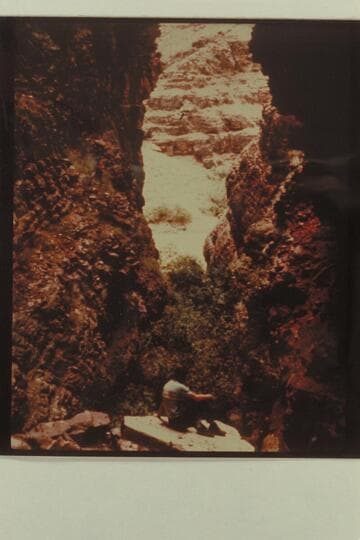 Winnie's Grotto