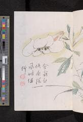 Go to image 121.
