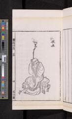 Go to image 217.