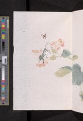 Go to image 173.